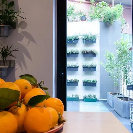 Appartement Pietranera